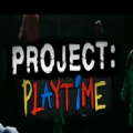 Project Playtimev1