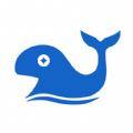 资鲸网Pro最新版app